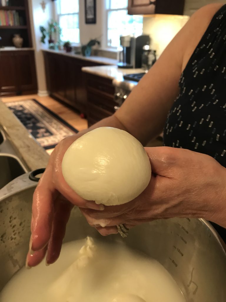 Fresh Mozzarella Ball