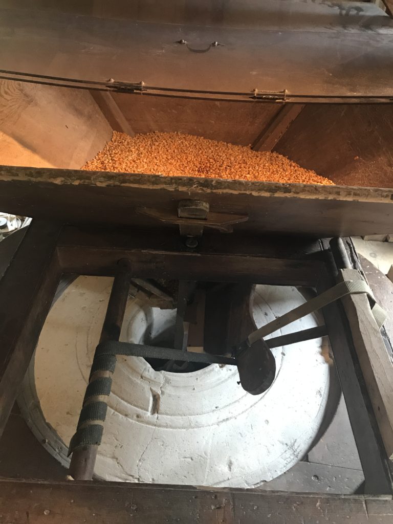 Corn being ground into cornmeal