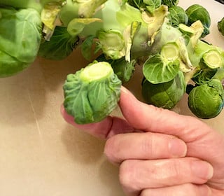 Holding a closely cut brussel sprouts from a stalk