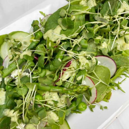 A white plate filled with spring greens salad with broccoli microgreens on top