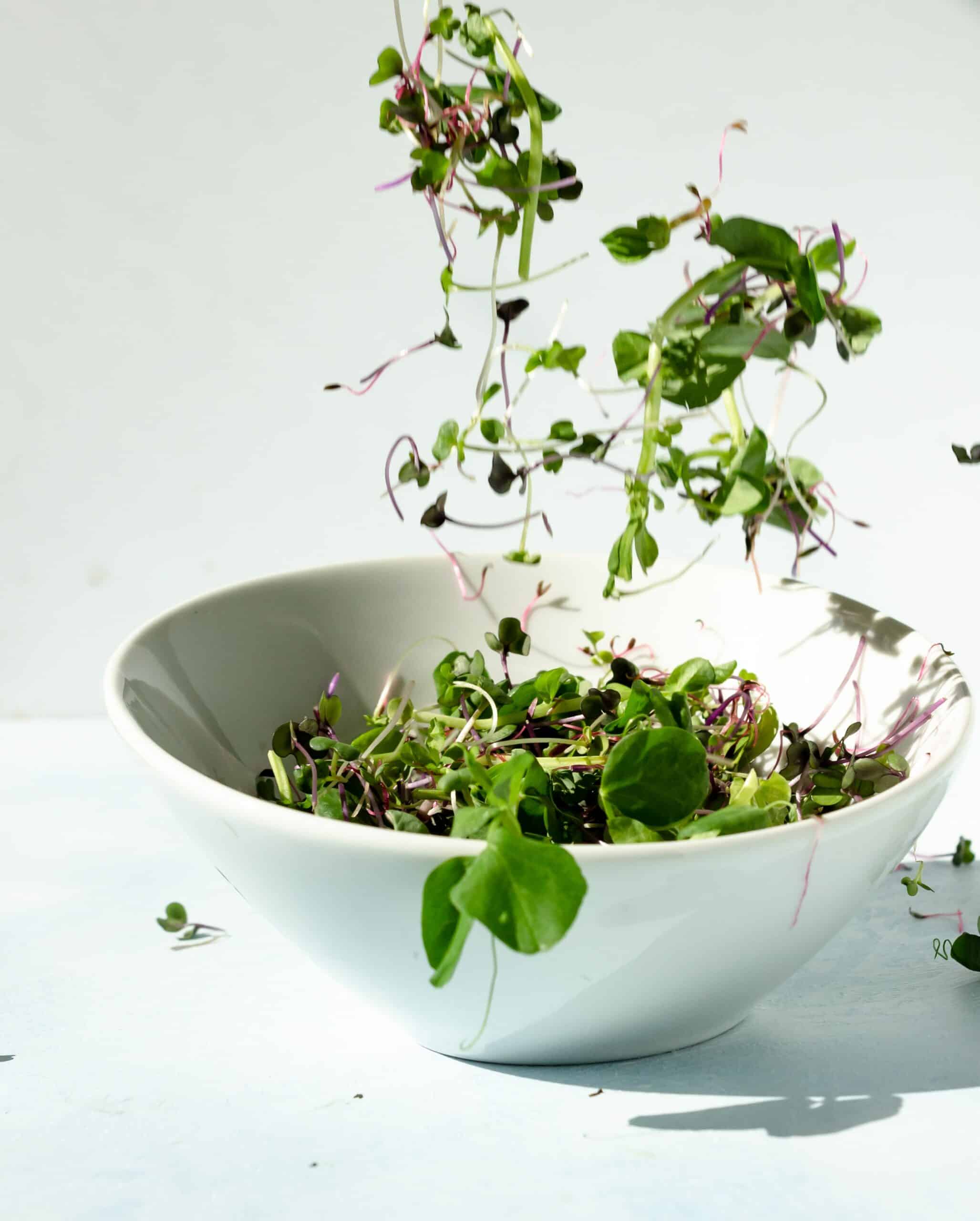 A white bowl with microgreens spilling into it on a white surface