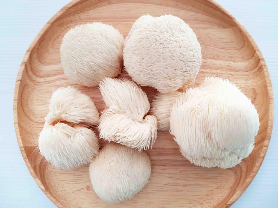 A wooden plate with a pile of lion's mane mushrooms.