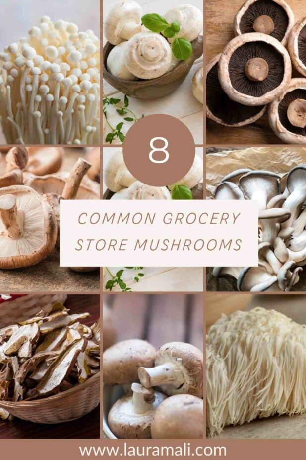 An infographic of 8 different typs of mushrooms on a beige background