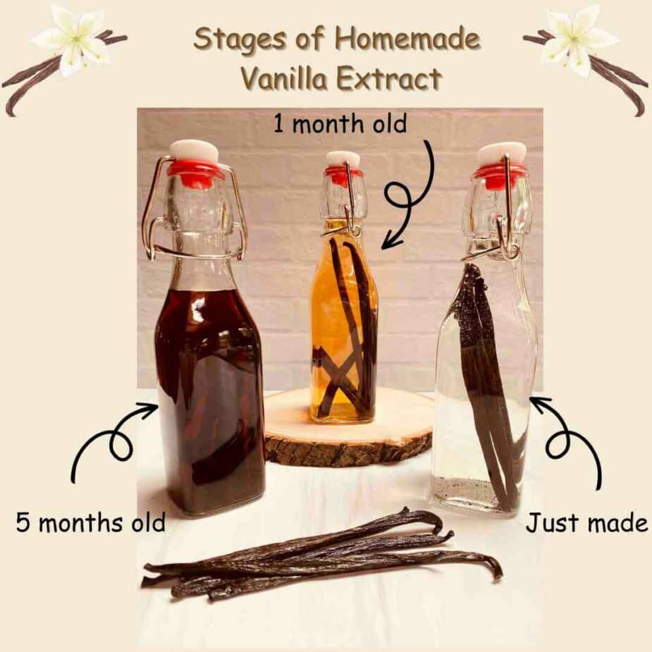 3 bottles of homemade vanilla extract in various stages of breweing, or marinating> The bottle on the left is dark brown and has been brewing for 5 months, middle is very light brown and has been brewing for a month, the bottle on the righ has been just made and is clear.