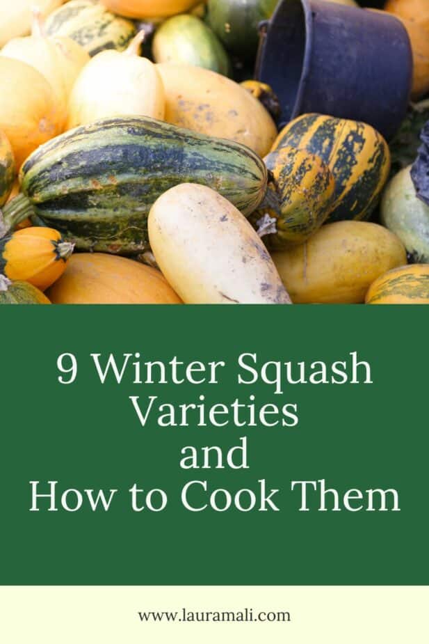 A pile of different varieties of winter squash