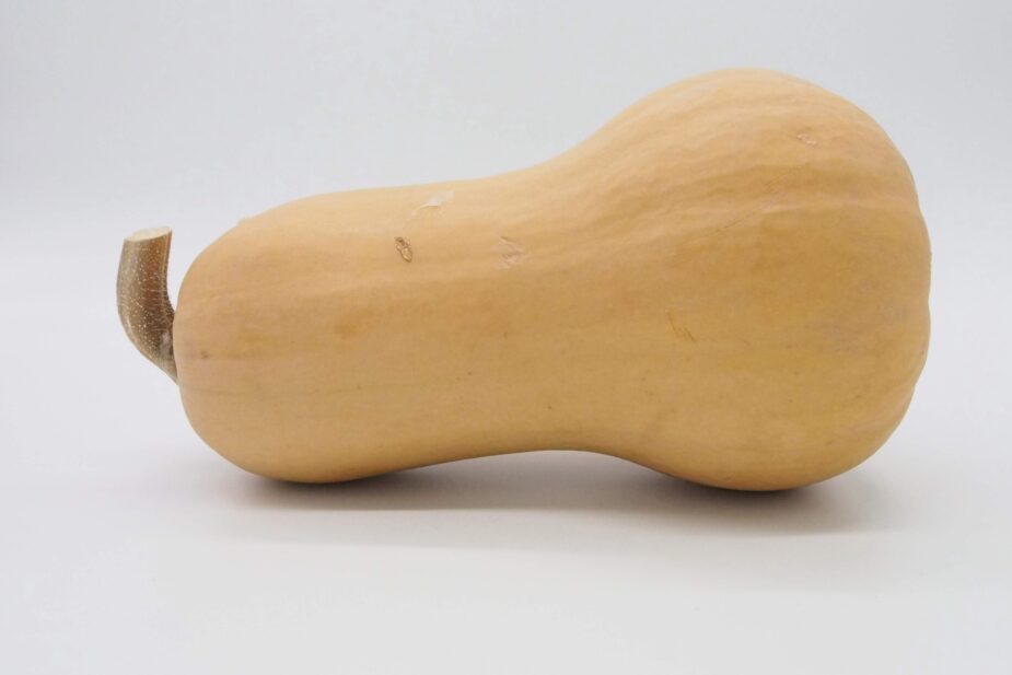 A butternut squash laying on a white counter.