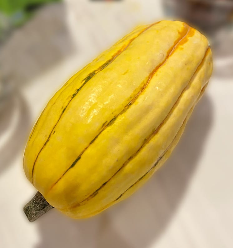 Whole delicata squash on a white counter