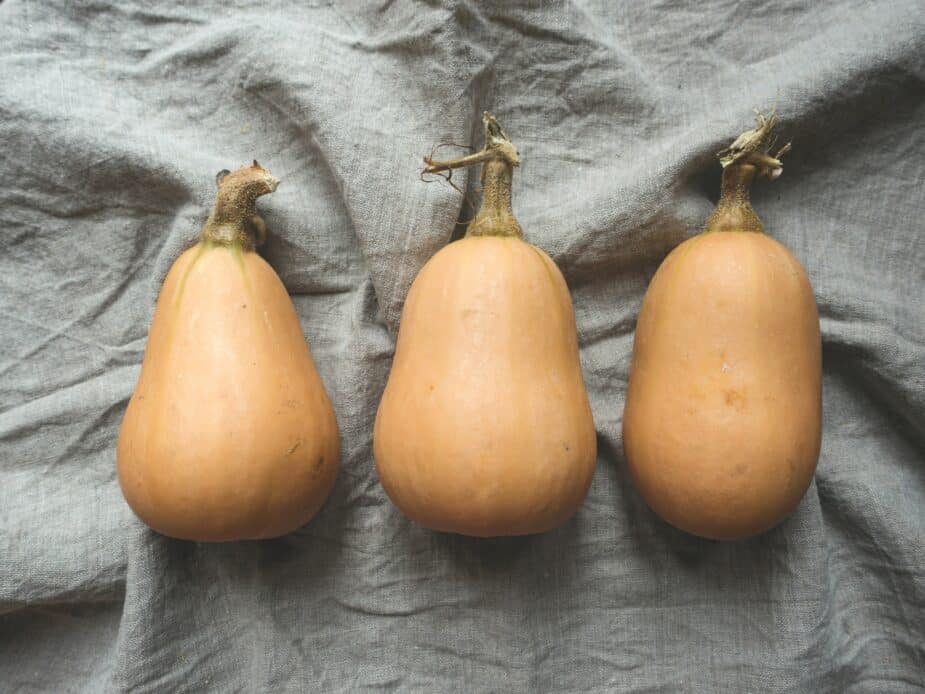 3 honeynut squash lying on a grey fabric