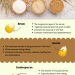 A graphic that shows the 3 parts of a kernel of grain and the nutritional value of each part.