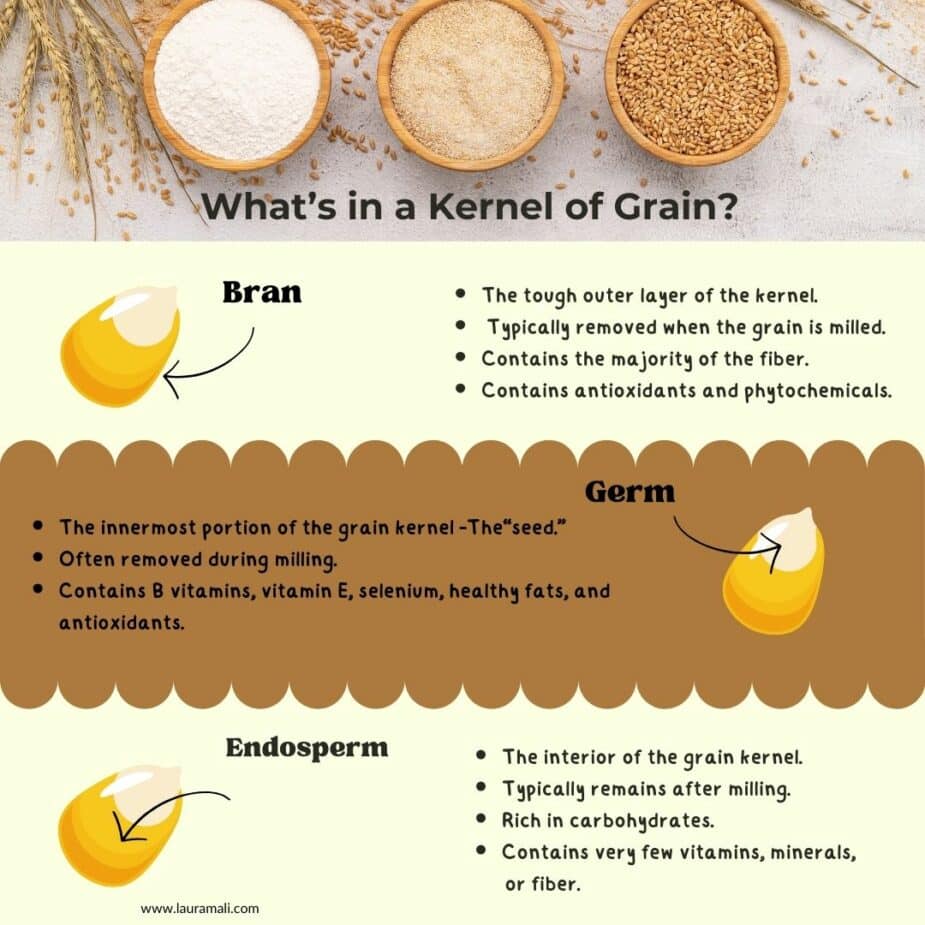 A graphic that shows the 3 parts of a kernel of grain and describes the nutritional value of each part.