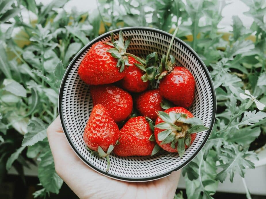 Black and white bowl filled with fresh strawberries