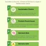 A yellow and green graphic that lists 4 benefits of swordfish, including sustainability, protein, nutrition and explains concerns around mercury.