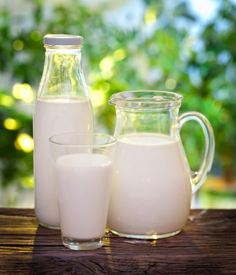 Milk Glass pitcher, glass and bottle filled with milk on a picnic table