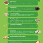 A graphic that lists 9 different types of beans and how to use them.