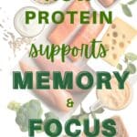 A variety of protein rich foods on a white background with the title "How Protein Supports Memory & Focus" over top.