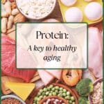 An overhead picture of a variety of animal and plant-base high protein foods. The title: Protein: A key to Healthy Aging is in a white block over top.