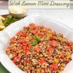 A white decorative bowl filled with quinoa watermelon salad.