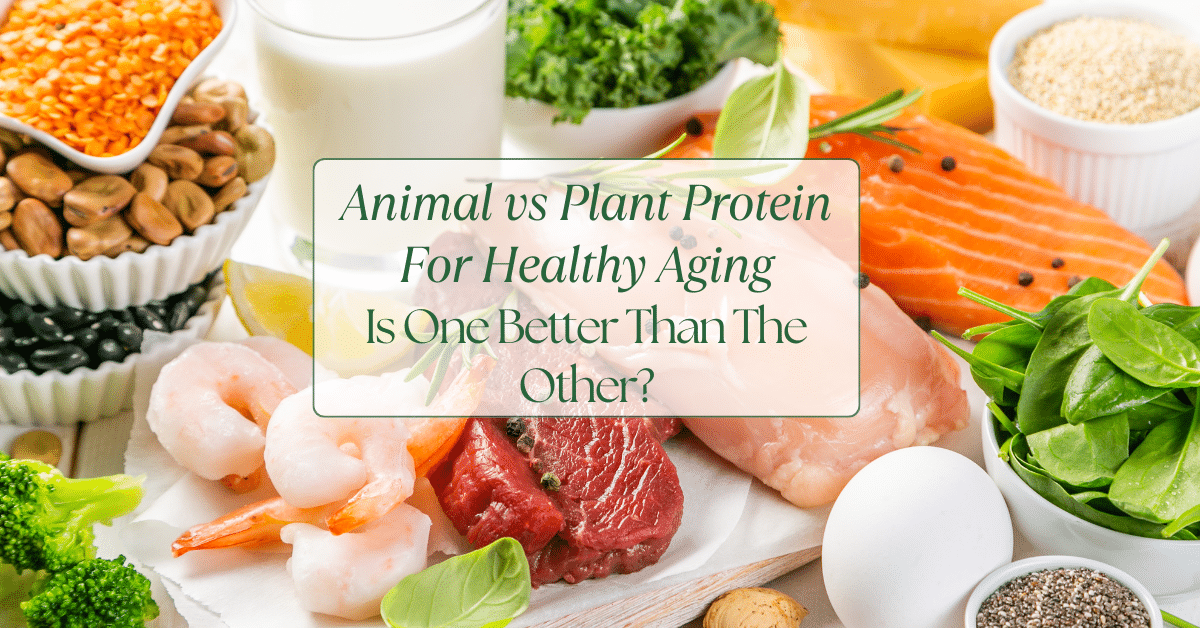 A counter filled with various types of protein rich foods.