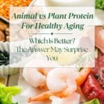 A counter filled with a variety of protein-rich foods. The title< "Animal vs. Plant Protein for Healthy Aging" is on top of the image.